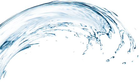 PELUQUERÍA PROFESIONAL